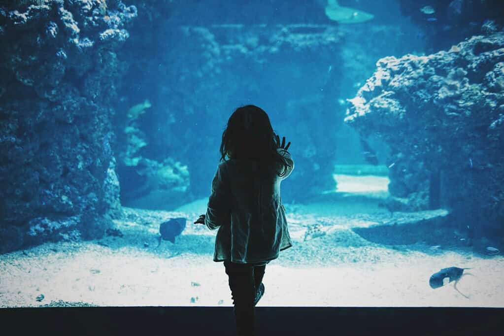 A girl pressing her hand to the glass, watching the fish in an aquarium.