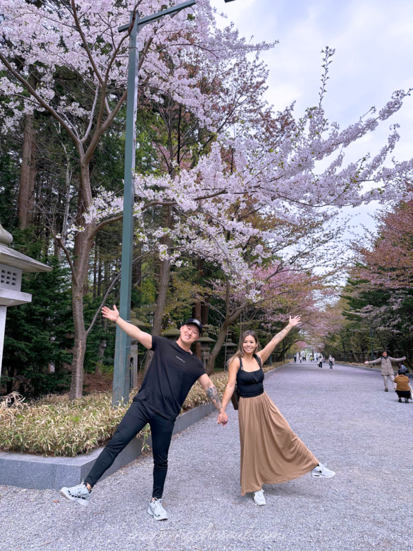 Sapporo visual data 8