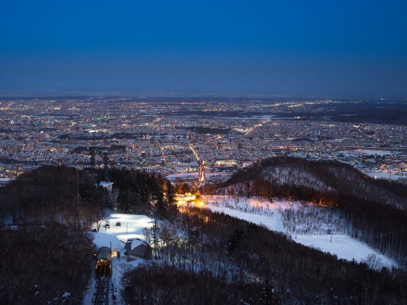 The city skyline at night from Mount Moiwa, in Sapporo, Japan. Snow blankets the trees.