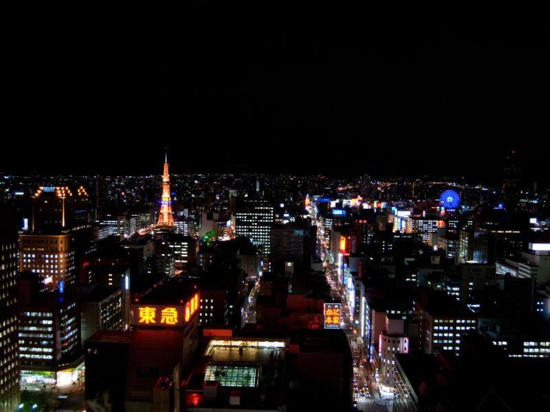 A Birds Eye view of Sapporo city at night