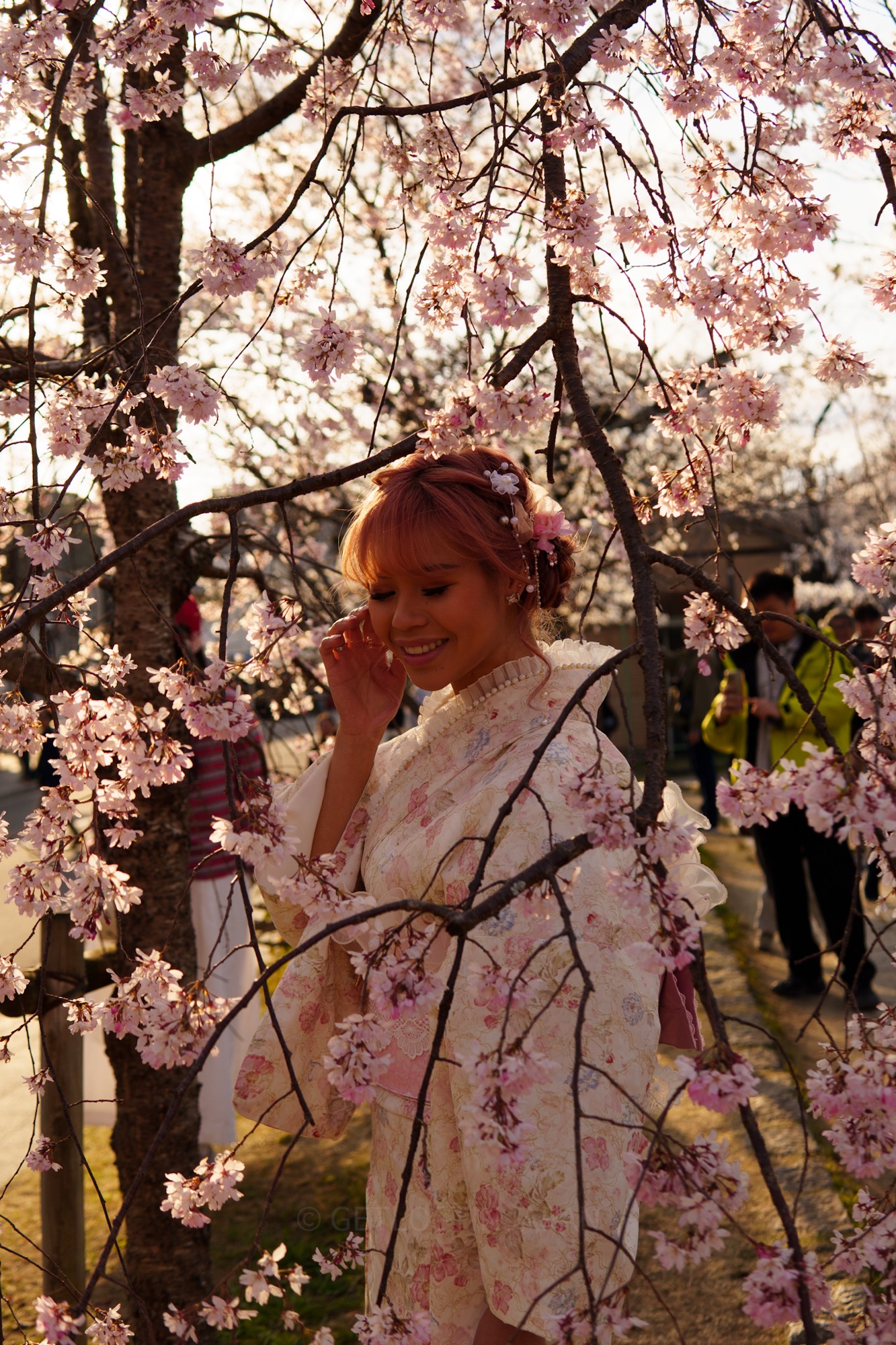 A girl with pink hair and a light pink kimono stands surrounded by cherry blossoms in full bloom during golden hour. She has a calm smile on her face.