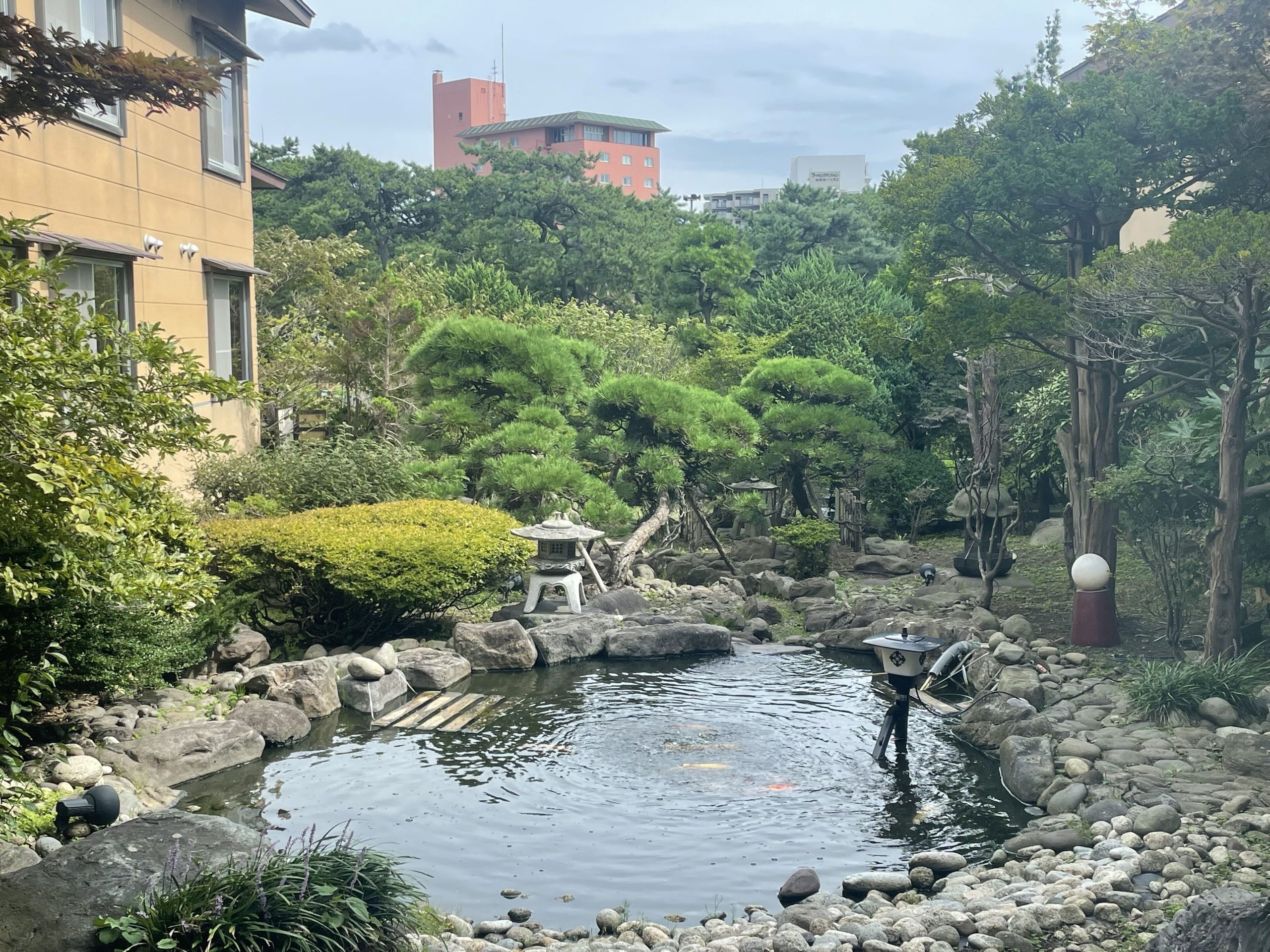 Tranquil Japanese garden with koi pond at Ryokan Ichinomatsu, offering a peaceful retreat in this Hakodate ryokan.