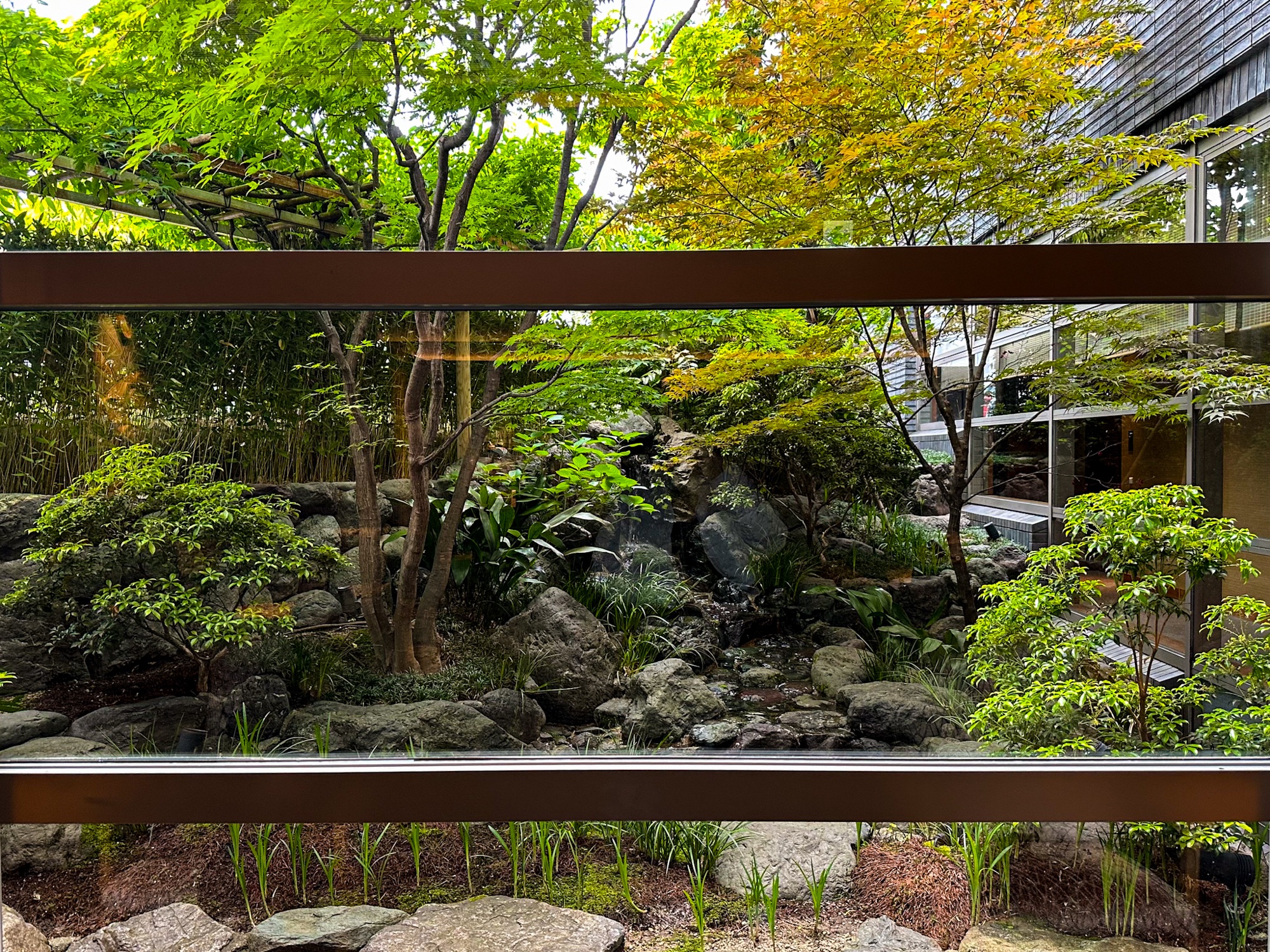 Lush Japanese garden view from inside Saka Hotel Kyoto, with a peaceful stream and maple trees