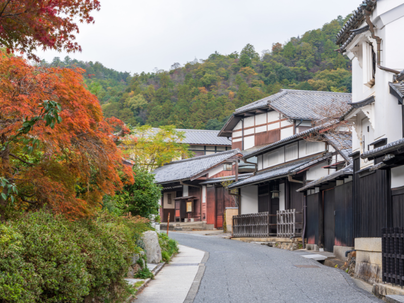 A quiet stroll through Saga Toriimoto Street in Arashiyama, lined with preserved traditional machiya houses.
