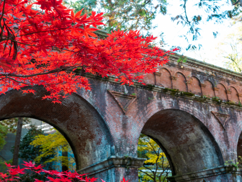  A red brick aqueduct framed by vibrant autumn maple leaves, making a visit to Nanzen-ji a scenic highlight among fun things to do in Kyoto.