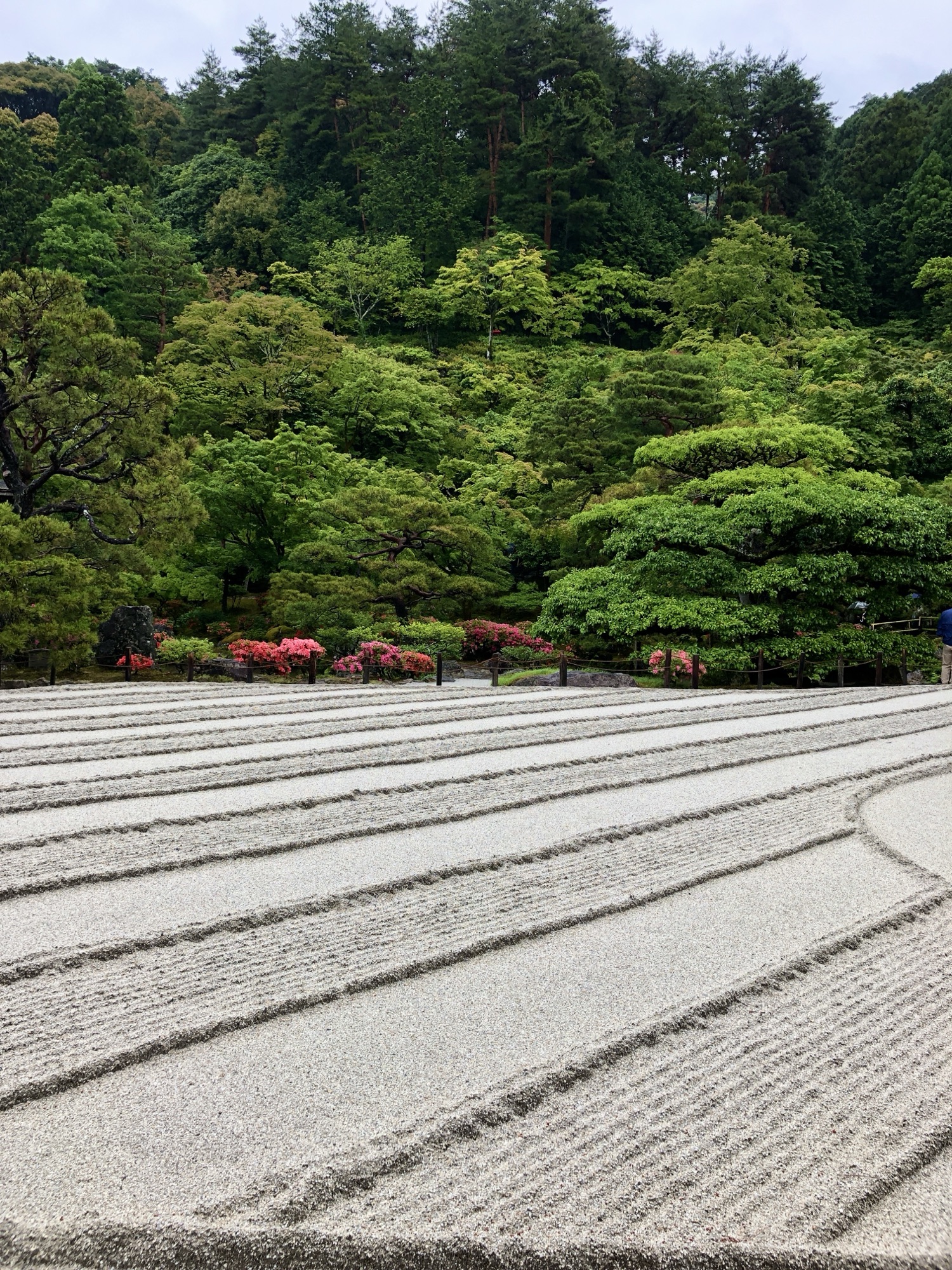 Raked gravel and lush greenery at Tenryu-ji Temple in Kyoto, a peaceful stop on a well-rounded Arashiyama itinerary.