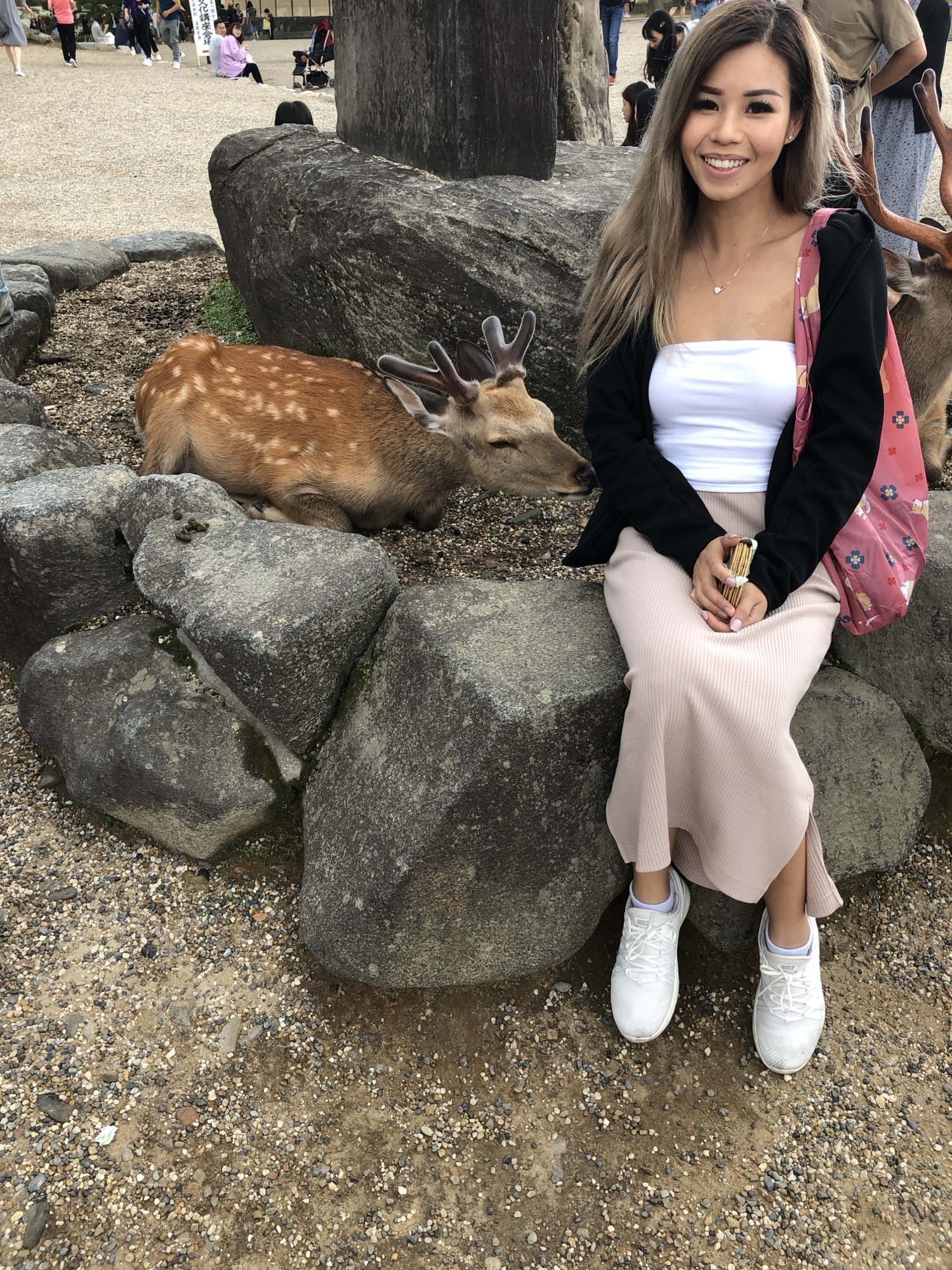 A girl sitting next to a sitting deer, with it's nose sniffing the girl playfully. These polite bowing deer wander freely in Nara Park, and is one of the fun things to do in Kyoto.