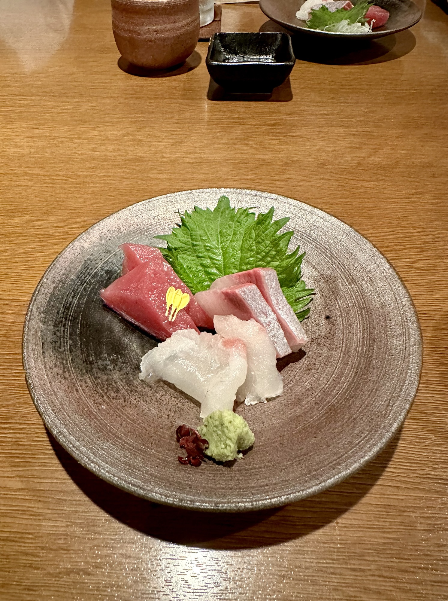 Fresh sashimi plate served as part of a traditional kaiseki dinner, a must-try experience on any Arashiyama itinerary.