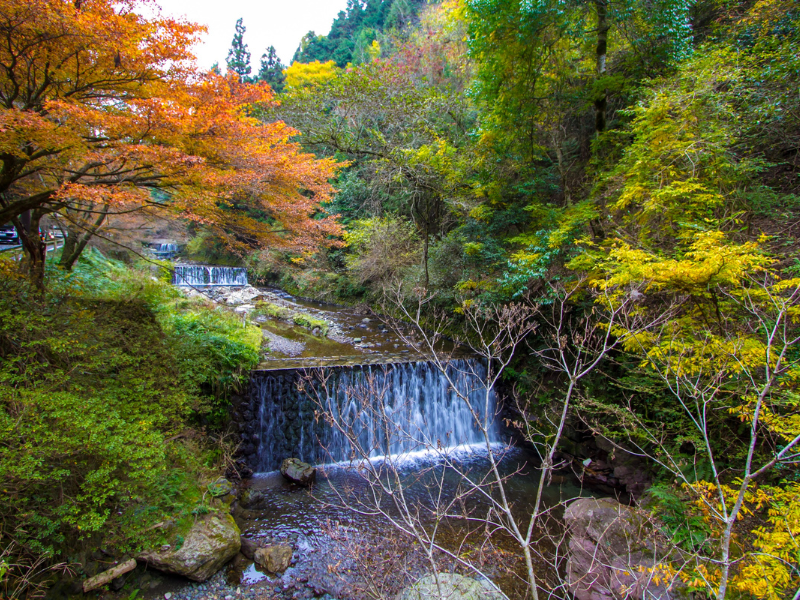 Scenic autumn view of cascading waterfalls surrounded by vibrant red, yellow, and green foliage along the hike from Kibune to Kurama in Kyoto.