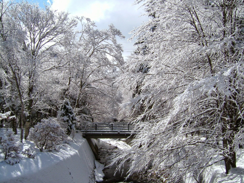 Snow-covered trees and bridge in Karuizawa during winter, a popular scenic escape for day trips from Tokyo in winter.
