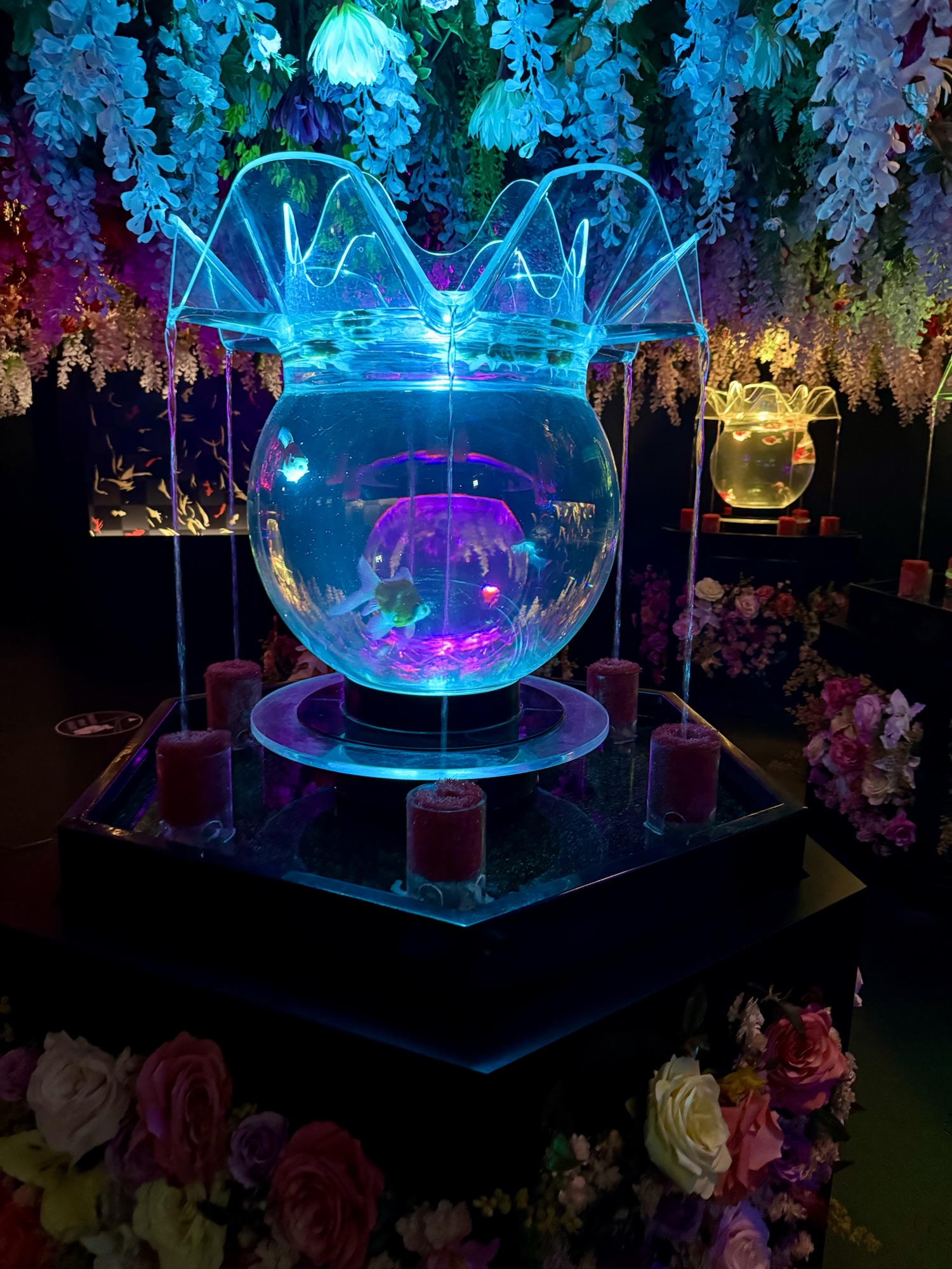 Illuminated goldfish display at the Ginza Art Aquarium in Tokyo, featuring glowing tanks and vibrant floral decorations.