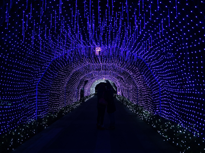 Jewel of Shonan winter illumination at Enoshima, a magical light display often enjoyed on day trips from Tokyo in winter.