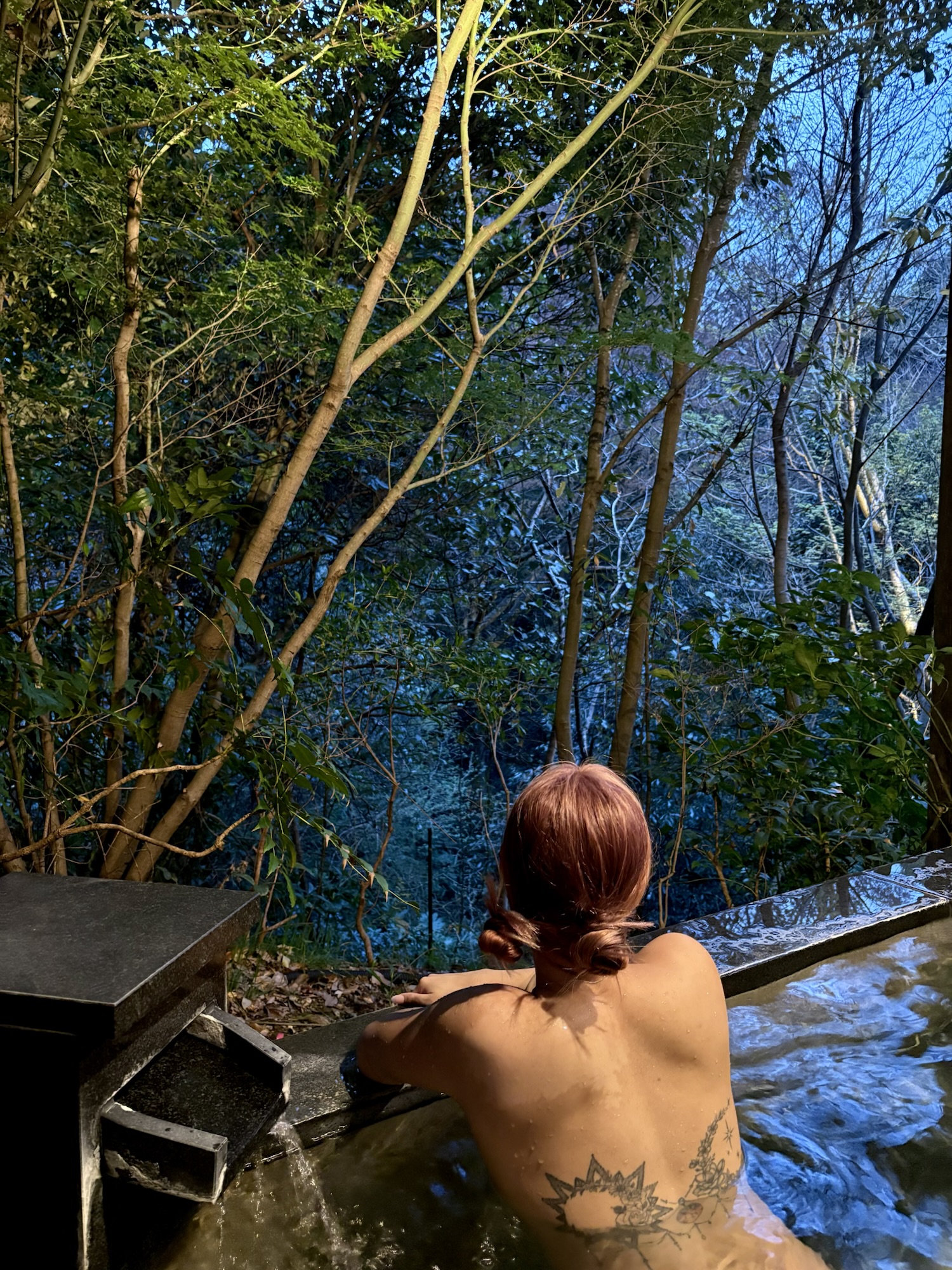 Audrey in a hot spring bath in Hakone gazing into the forest