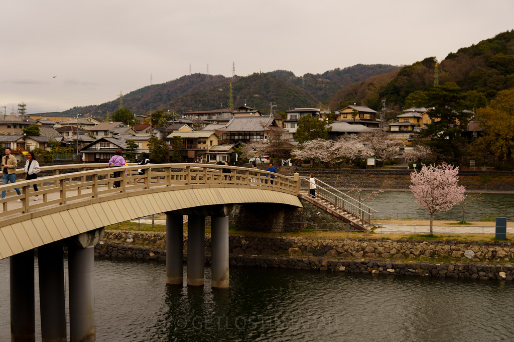 Scenic view of Uji Bridge crossing the river with cherry blossoms and traditional houses in the background