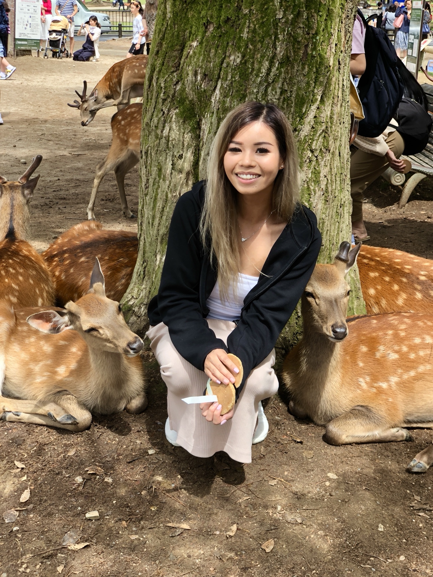 Woman feeding deer crackers in Nara Park on a Nara day trip