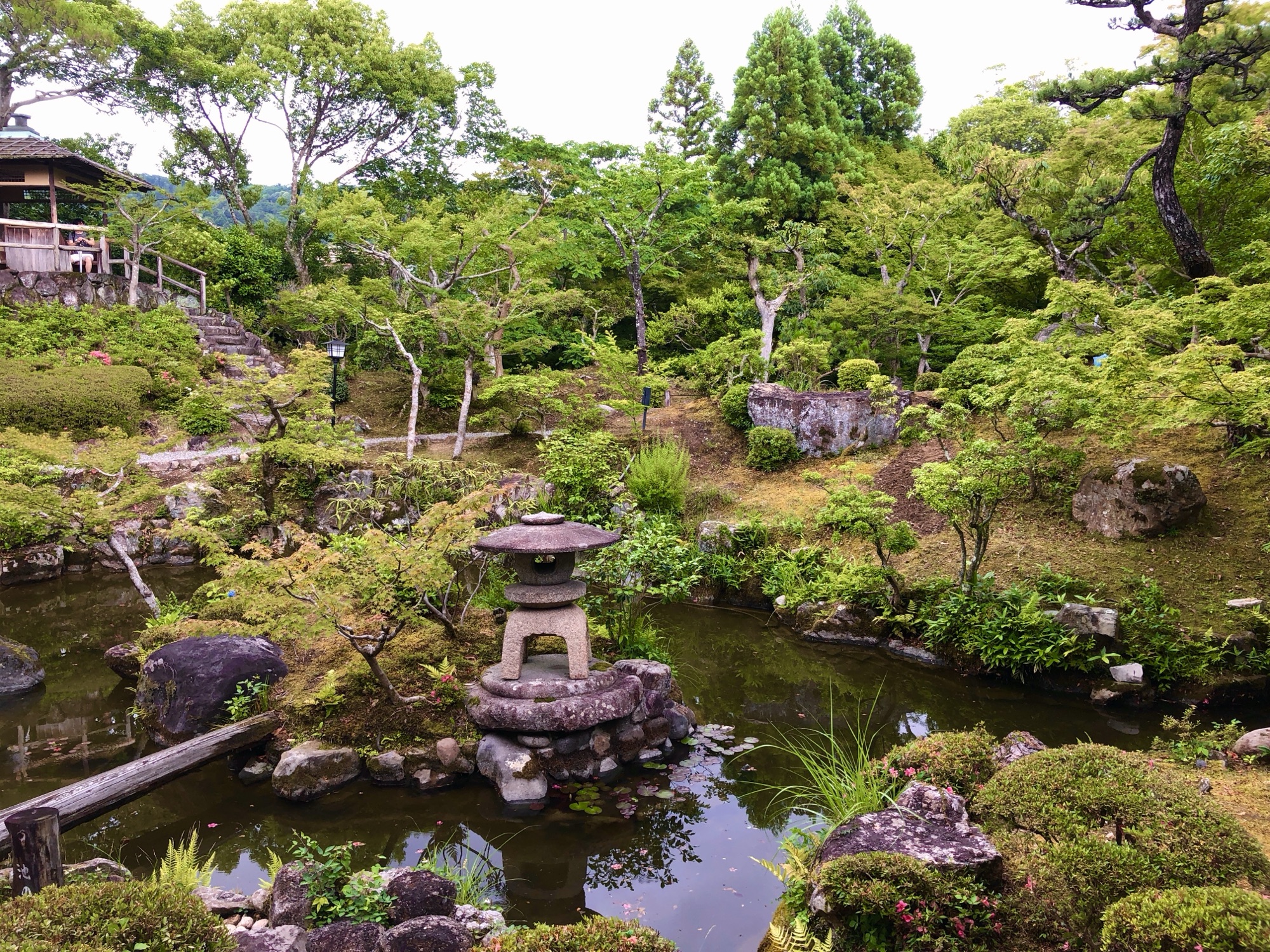 Traditional Japanese garden with pond, stone lantern, and lush greenery in Nara