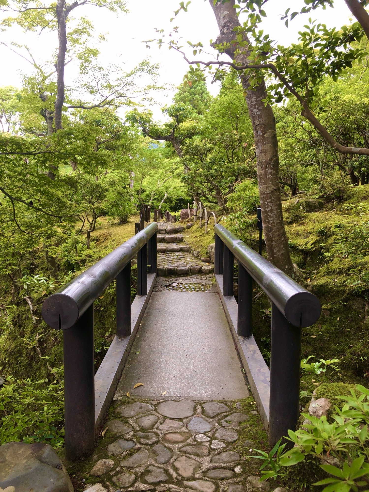 Stone bridge and mossy garden path surrounded by green trees in Nara